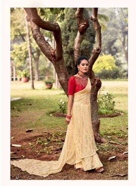 Lt Rajkanya Fancy Party Wear Wholesale Georgette Sarees Catalog
